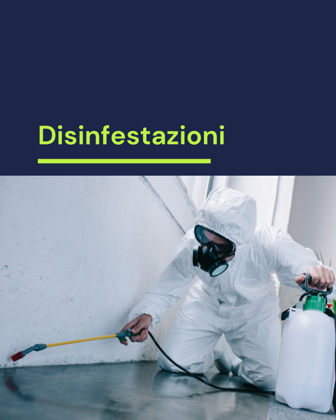 Disifestazioni e pest-control per debellare piatte scarafaggi cimici zecche pulci topi